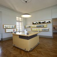 Activité d'oenologie