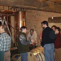 Incentives : dégustation de vins