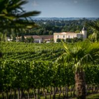 Vignoble