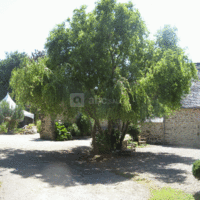 La Ferme de Trézulien