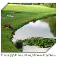Swin Golf de Brest