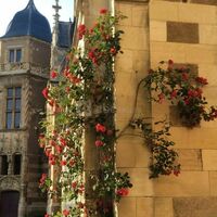 Château d'Ainay-le-Vieil