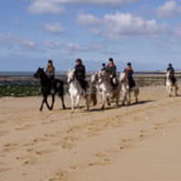 Cheval