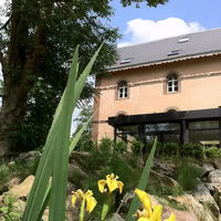 L'iris des marais