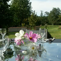Brunch en terrasse