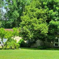 Domaine de Pladuc