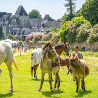 Manoir du Stang