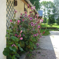 Jardins