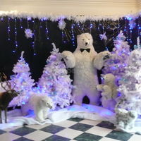Mariage d hiver