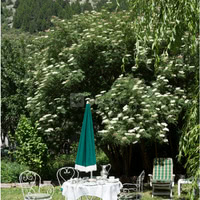 L'Auberge du Choucas