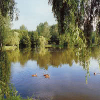 Vue lac