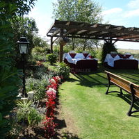 JARDIN COCKTAILS