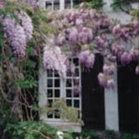 Domaine des Lammes