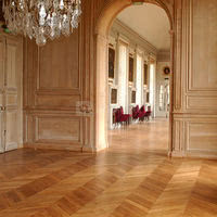 Salon molé
