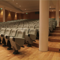 Auditorium - Musée des impressionnismes Giverny © N.Mathéus
