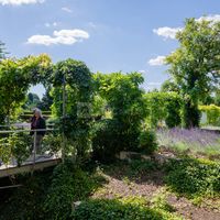 Musée des Impressionnismes Giverny