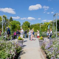 Musée des Impressionnismes Giverny