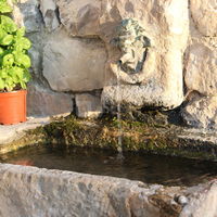 Ferme Fortia