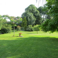 Parc pelouse