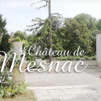 Château de Mesnac