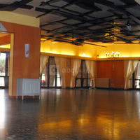 Salon tournesol (en cas de pluie a l'apéritif)