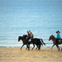 Hôtel Le Christina la Baule