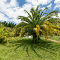 Le jardin