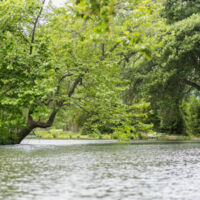 Le lac et le parc