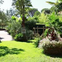 Tropicana Flore
