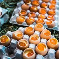 Oeuf sans oeuf