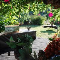 Les Jardins du Mas Evesque