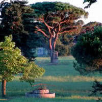 Domaine du buc
