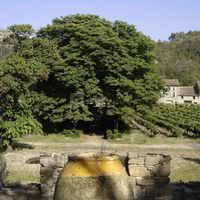 Le parc