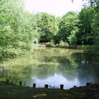 Le parc