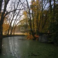 Promenade dans le parc