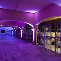 La galerie du chai rouge de Château l'Hospitalet
