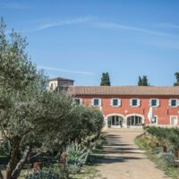 Restaurant l'Art de Vivre depuis l'allée des Oliviers