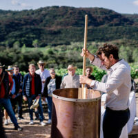 Activité oenotouristique, visite du Clos du Temple