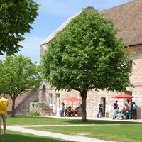 Ambiance cour