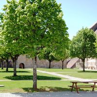 Vue du site