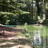 L' etang