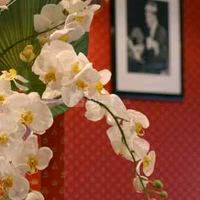 Le Bistrot Valois