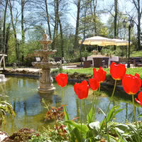 Terrasse au mois d'avril