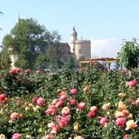 Château de Bouthéon
