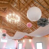 La Crinoline