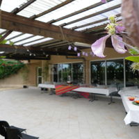 Le Cotillon