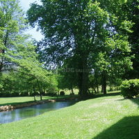 Jardin et petit étang