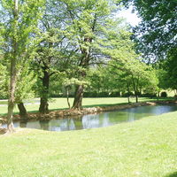 Jardin et petit étang