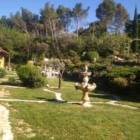 Floraison en Foret