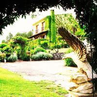 Floraison en Foret